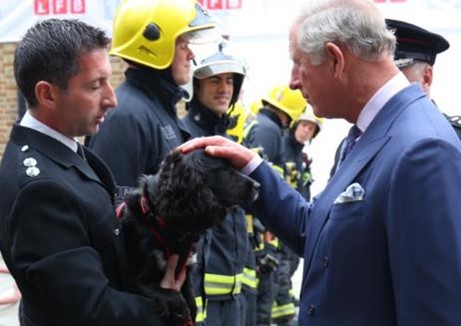 Fire investigation dog Sherlock and Group Commander Paul Osborne with King Charles, who is patting Sherlock's head