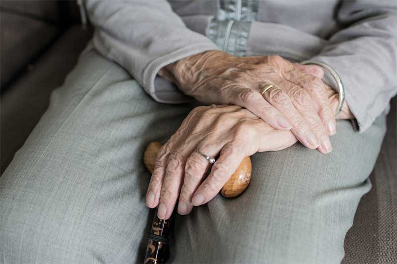 Hand holding a walking stick