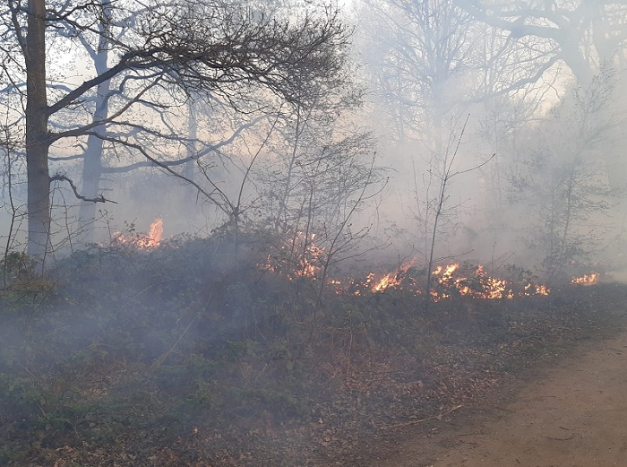 Grass and bushes alight in Wimbledon in April 2020