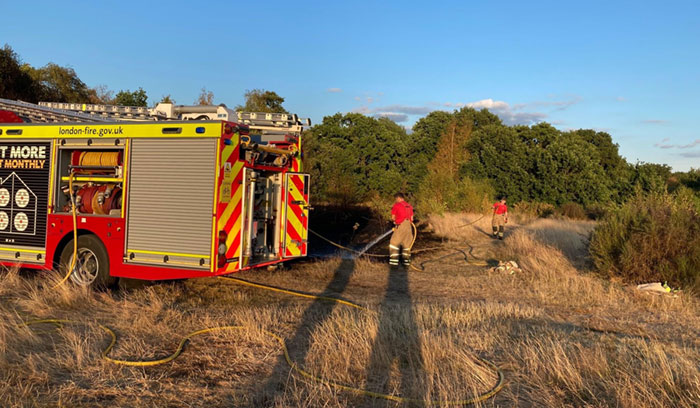 Two firefighters tackling a grass fire.