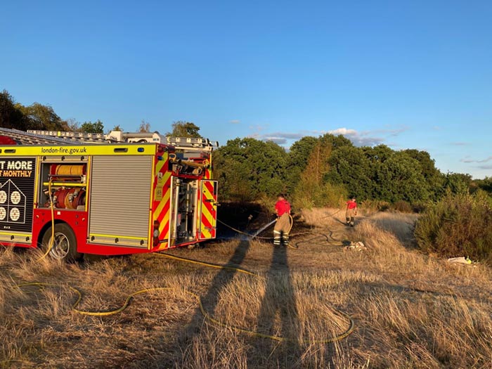 Two firefighters tackling a grass fire.