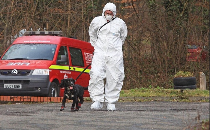 Fire investigation dog Sherlock and Group Commander Paul Osborne at the scene of an incident. Paul is wearing white overalls and Sherlock is wearing fire boots. 